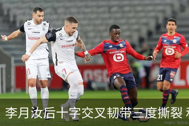 李月汝后十字交叉韧带三度撕裂 和断掉无异